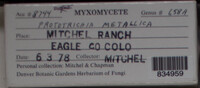 Image Associated With the Occurence